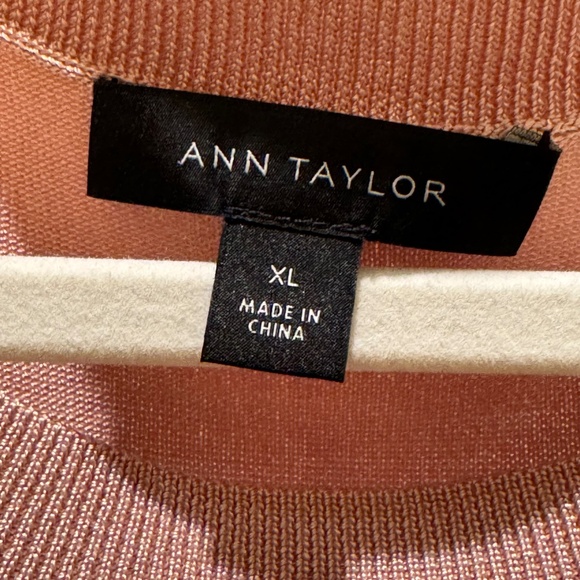 Ann Taylor Shimmer Dressy Sweater - XL - Picture 10 of 11